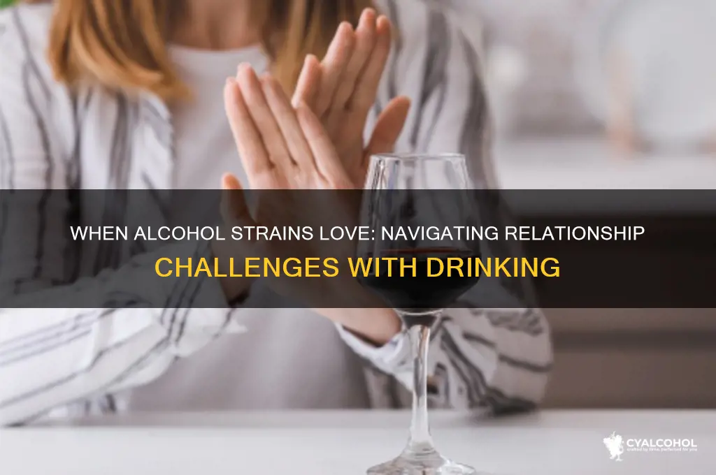 when alcohol becomes an irriatnat in a relationship