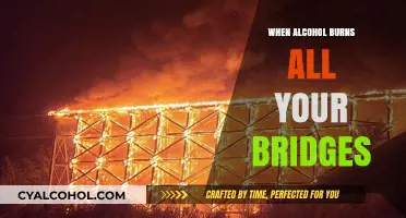 Alcohol's Fiery Path: Rebuilding After Burning Bridges to Ashes