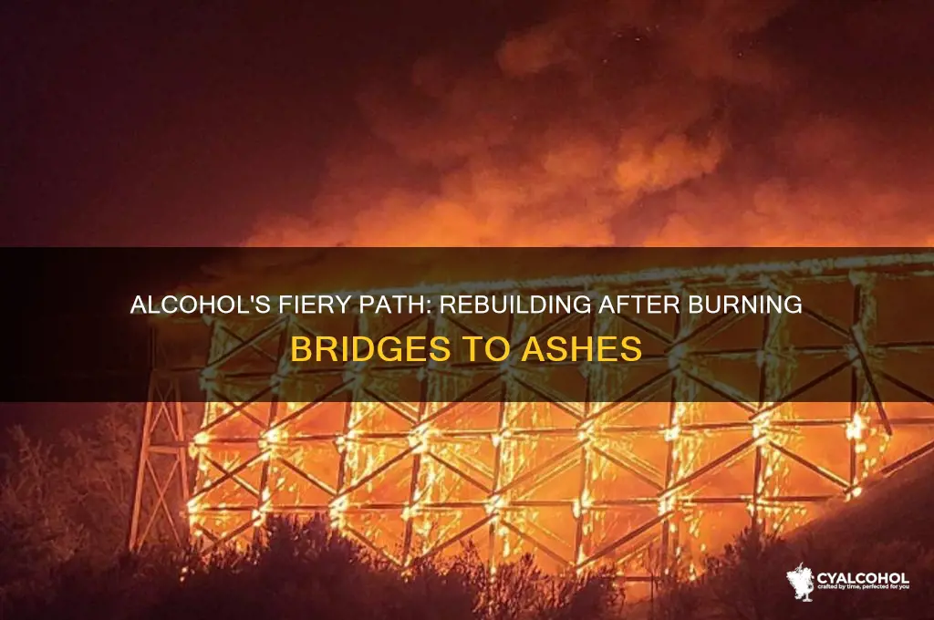 when alcohol burns all your bridges
