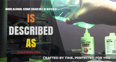 Alcohol and Water: A Unique Mix
