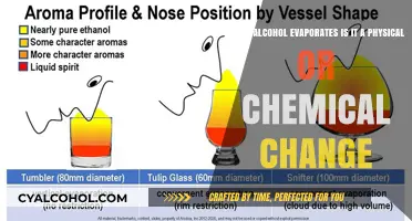 Alcohol Evaporation: Physical or Chemical Change?