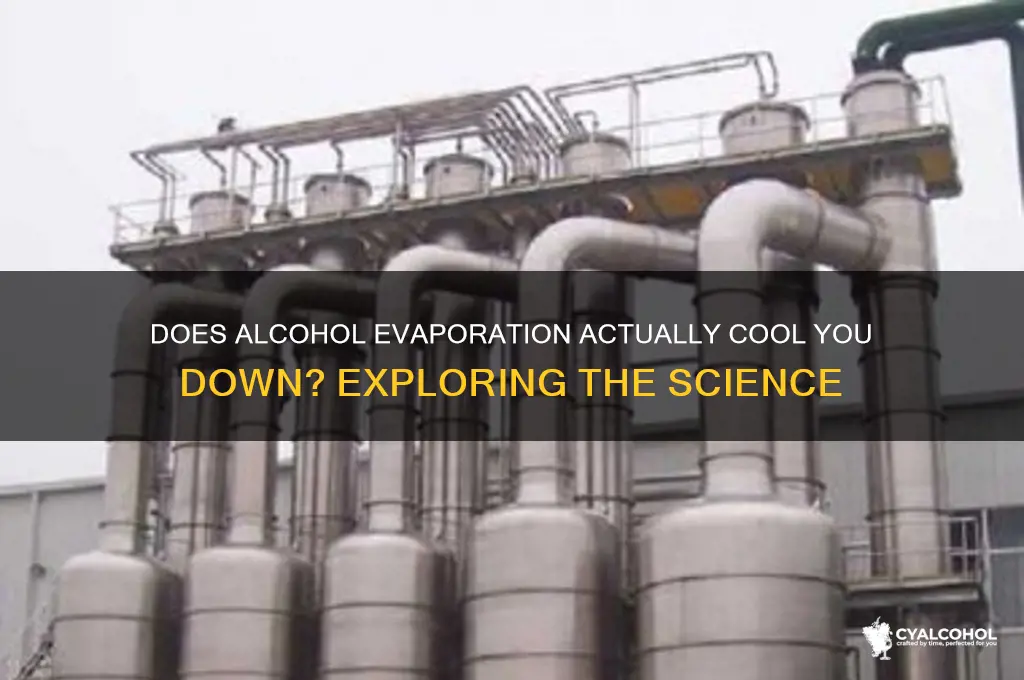when alcohol evaporation does it cool you down