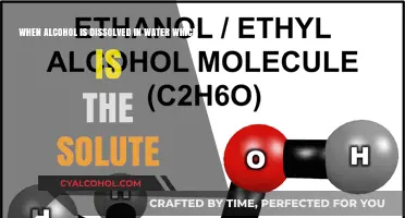 Alcohol and Water: Alcohol, the Solute