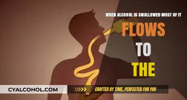 Alcohol's Journey: Most of It Flows to the..