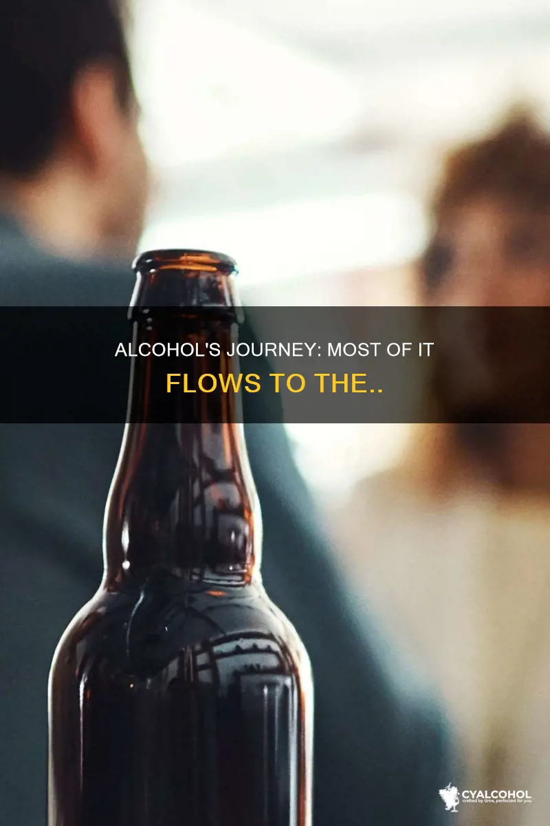 when alcohol is swallowed most of it flows to the