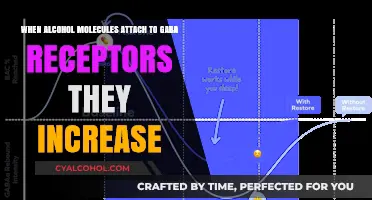 How Alcohol Molecules Affect GABA Receptors and Why