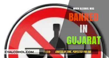 Gujarat's Prohibition Journey: The Story Behind Alcohol Ban