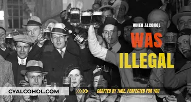 Prohibition's Dark Era: When Alcohol Was Outlawed in America