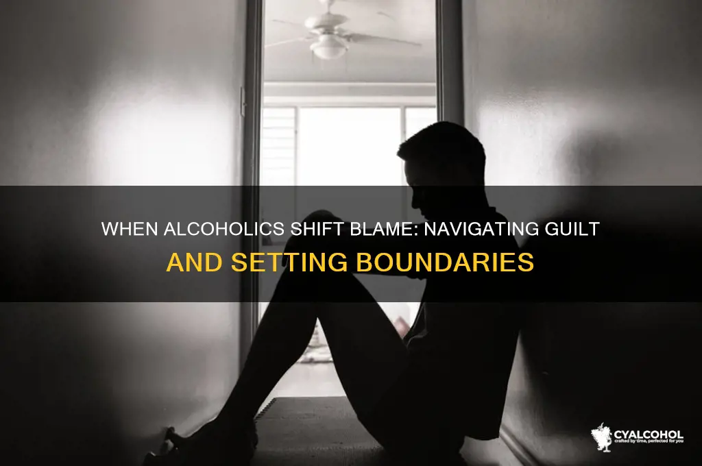 when alcoholic try to blames you