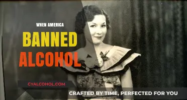 Prohibition's Dark Era: When America Banned Alcohol and Changed History