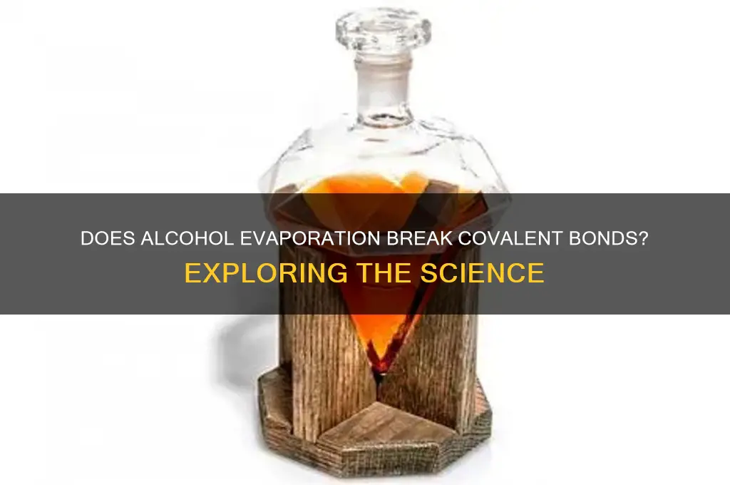 when an alcohol evaporates are covalent bonds broken
