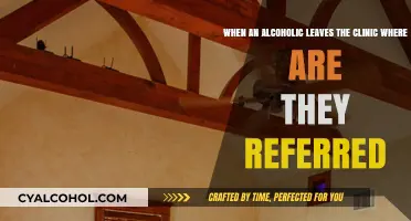 Alcoholics: Where to After Rehab?