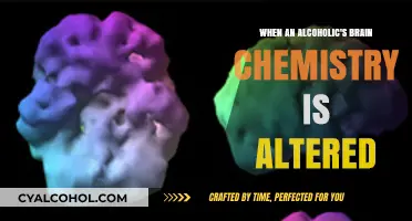 Altered Brain Chemistry: Understanding Alcoholism's Impact on the Mind