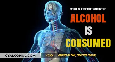 The Dangers of Overindulgence: Understanding Excessive Alcohol Consumption