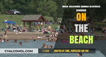 California's Beach Alcohol Ban: Impact and Public Reaction Explained
