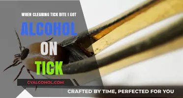 Alcohol on a Tick Bite: What to Do?