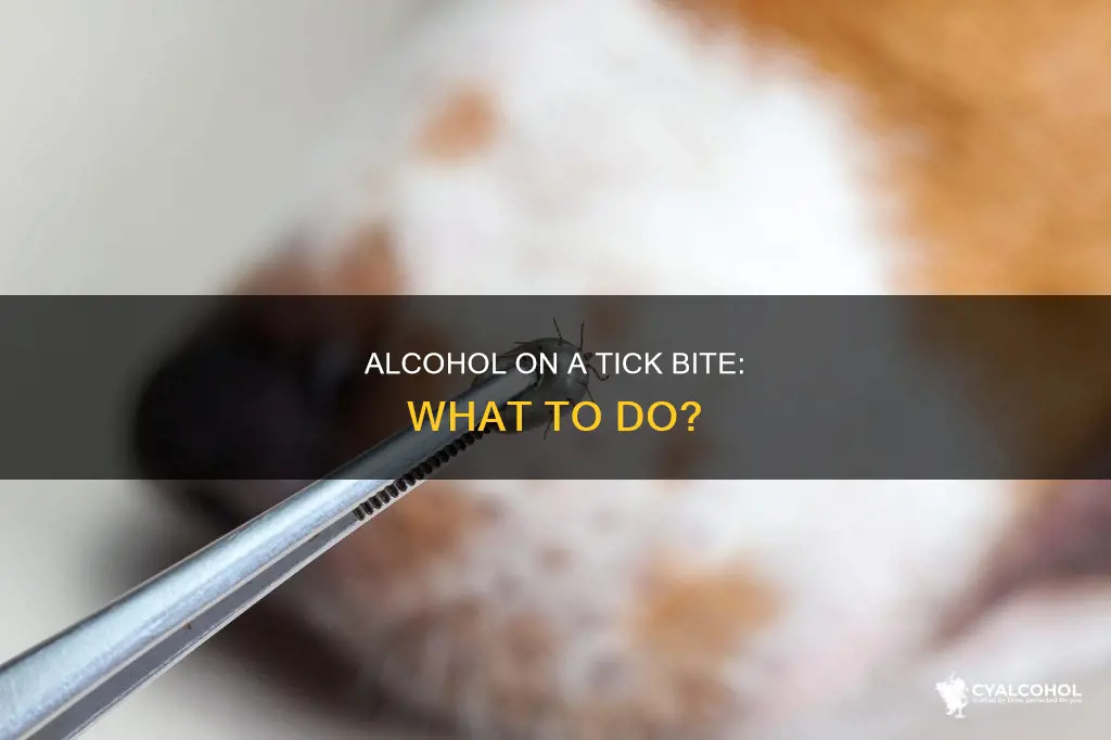 when cleaning tick bite i got alcohol on tick