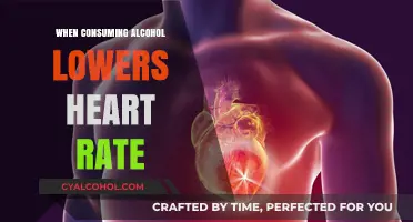 Alcohol's Paradox: How Drinking Can Slow Your Heart Rate