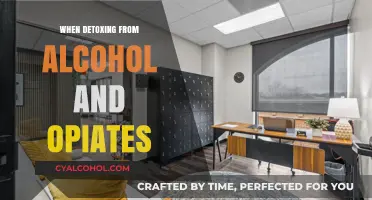 Navigating Recovery: Essential Steps for Alcohol and Opiate Detox Success