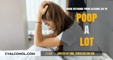 Alcohol Detox and Pooping: What's the Connection?