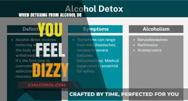 Understanding Dizziness During Alcohol Detox: Causes and Coping Strategies