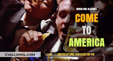 The Arrival of Alcohol in America: A Historical Journey