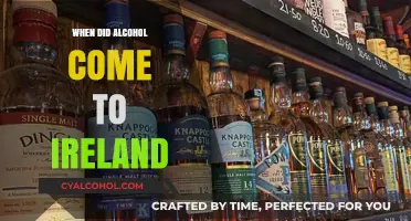 Exploring Ireland's Ancient Relationship with Alcohol: Origins and History