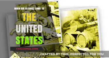 The Arrival of Alcohol in America: A Historical Journey