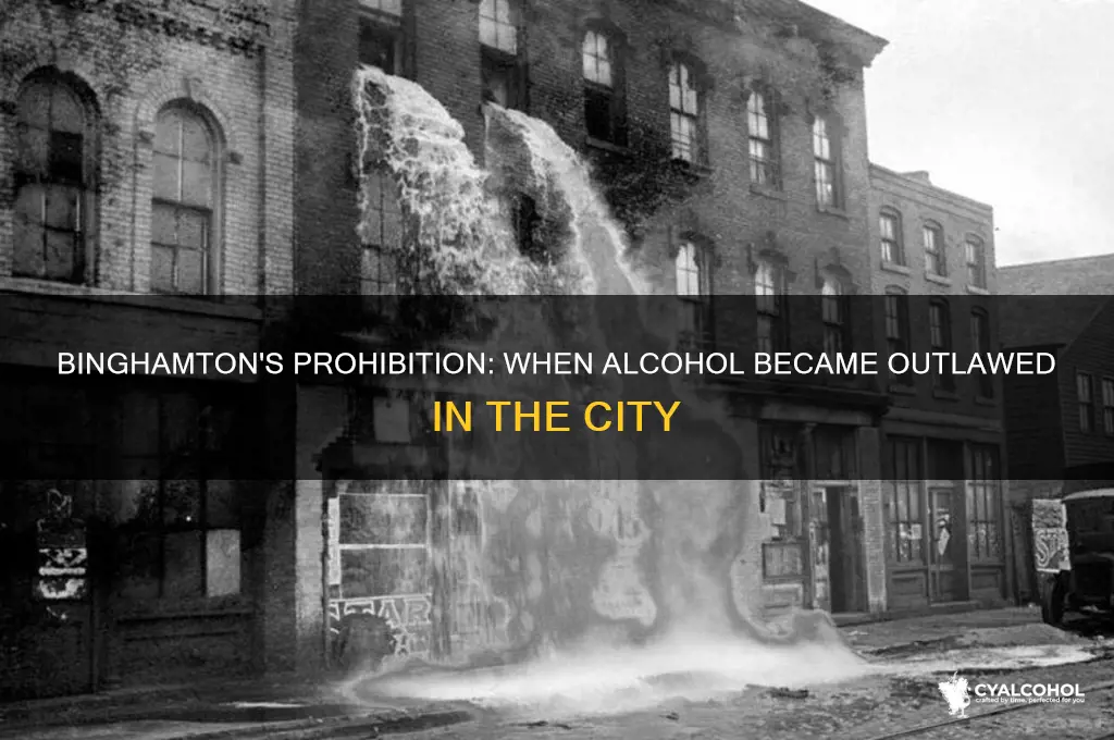 when did city ofbinghamton outlaw alcohol