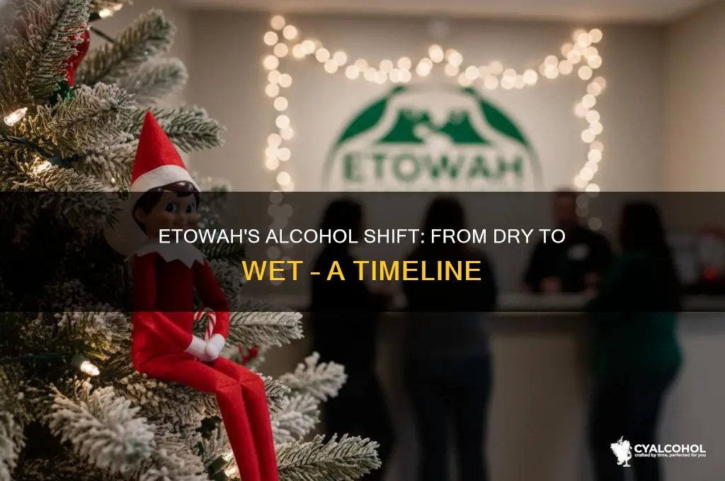 when did etowah allow alcohol dry