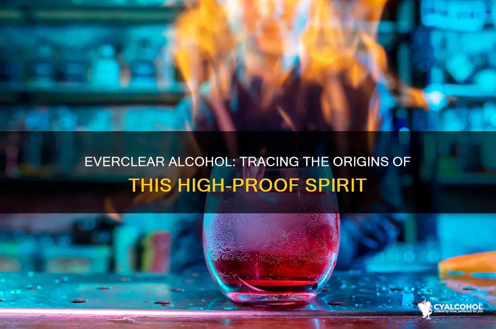 when did everclear alcohol come out