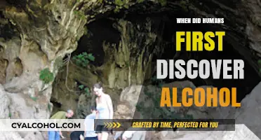 Unveiling the Ancient Origins of Humanity's First Encounter with Alcohol