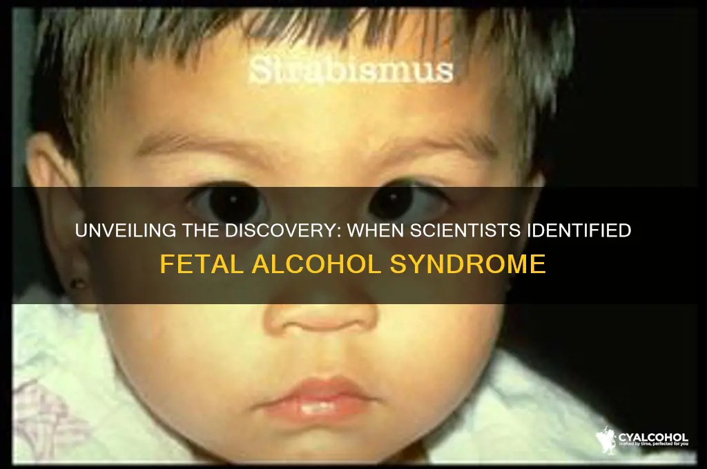 when did scientists discover fetal alcohol