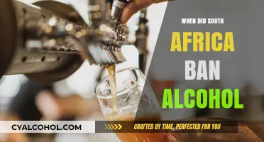 South Africa's Alcohol Ban: A Timeline of Prohibition Measures