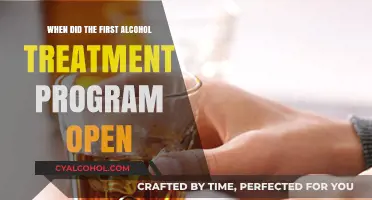 The Origins of Alcohol Treatment: When Did the First Program Open?