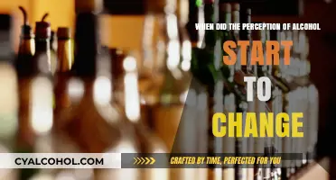 How Alcohol's Perception Evolved Over Time
