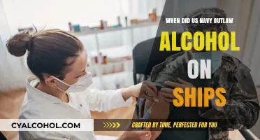 US Navy's Alcohol Ban: When Ships Went Dry
