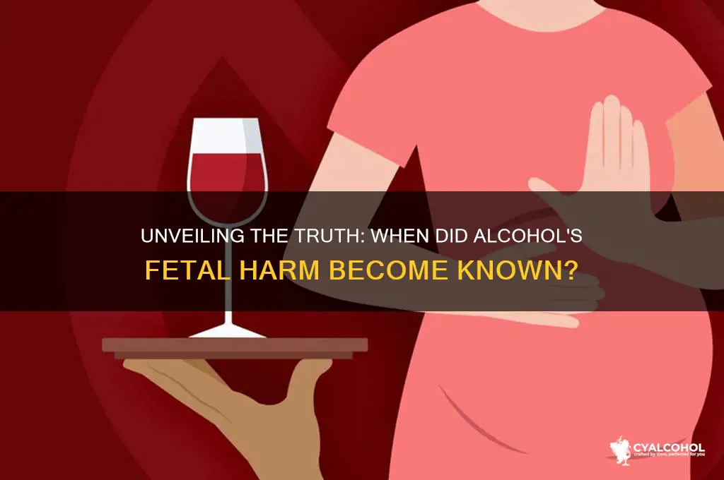 when did we learn that alcohol hurt fetuses