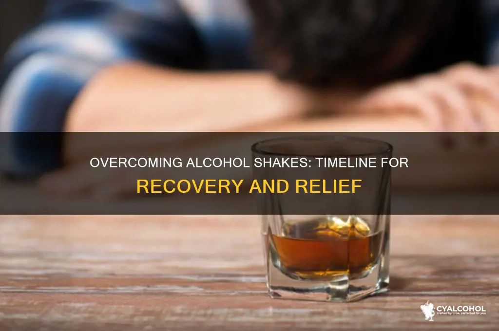 when do alcohol shakes go away