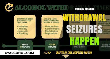 Understanding Alcohol Withdrawal Seizures: Timing, Risks, and Prevention Tips