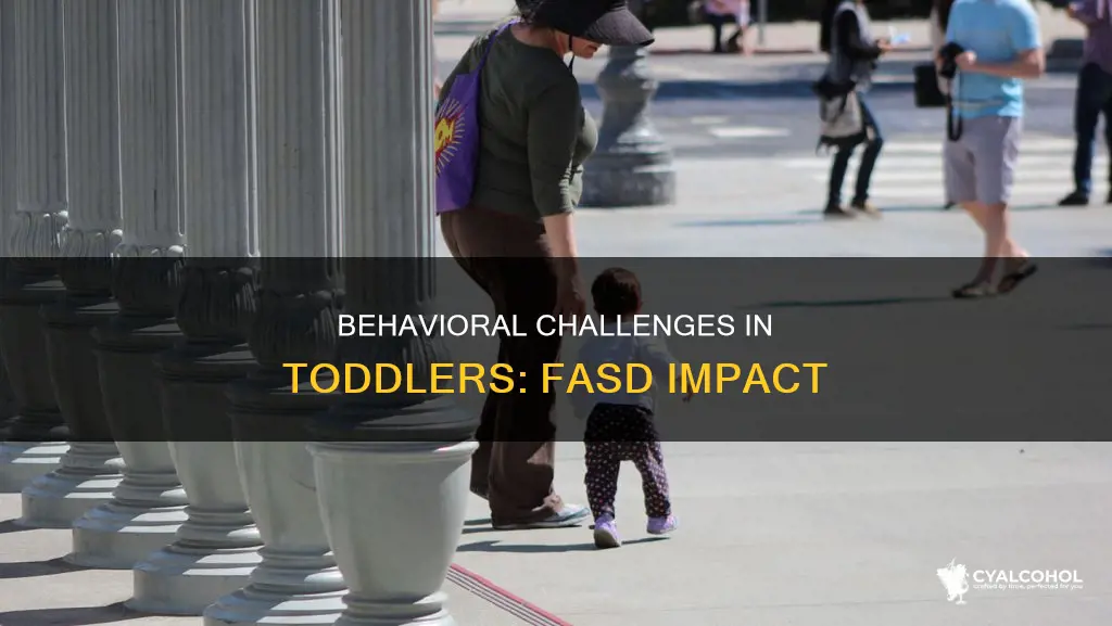 when do behavior problems surface in toddlers of alcohol syndrome