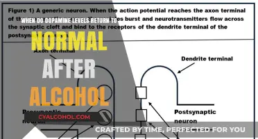 Dopamine Levels: Alcohol's Impact and Recovery Timeline