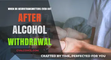 Neurotransmitter Balance After Alcohol Withdrawal: A Timeline for Recovery