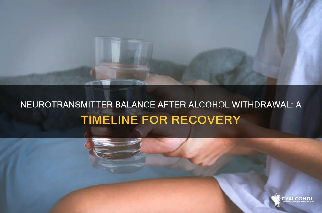 when do neurotransmitters even out after alcohol withdrawal