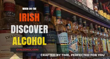 Unveiling Ireland's Ancient Relationship with Alcohol: A Historical Journey