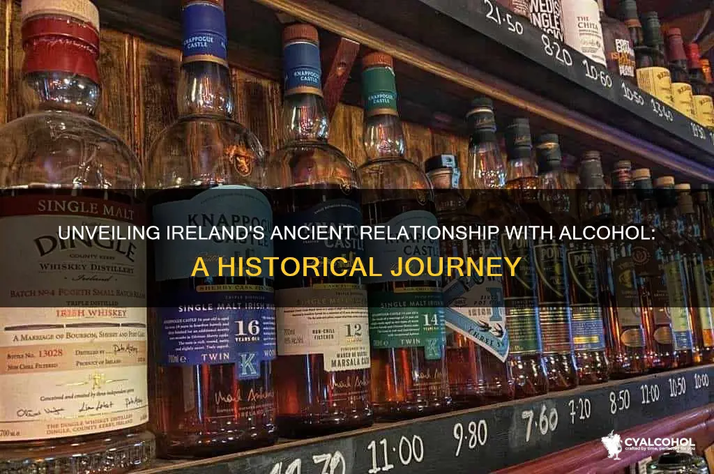 when do the irish discover alcohol