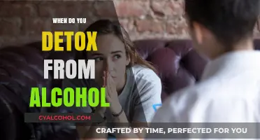 Understanding Alcohol Detox: Timing, Process, and Recovery Essentials