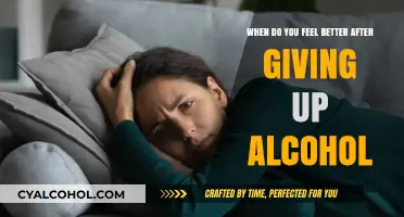 Sobriety: A Better Life Without Alcohol