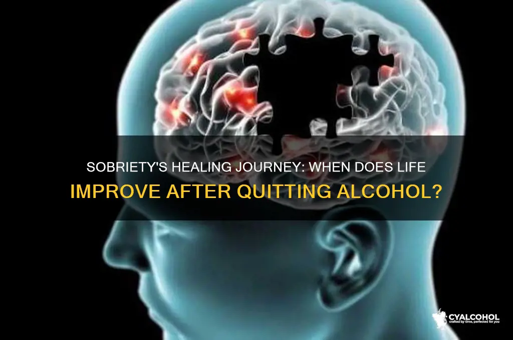 when do you feel better after quitting alcohol