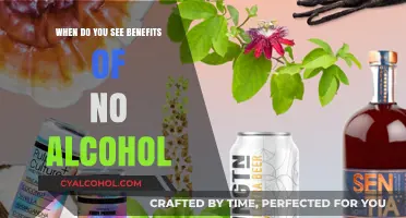 Discovering the Transformative Benefits of a No-Alcohol Lifestyle